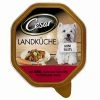 Cesar Landküche Rind, Pasta & Karotten | 14x150g